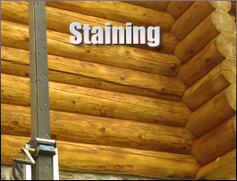  Colerain, North Carolina Log Home Staining